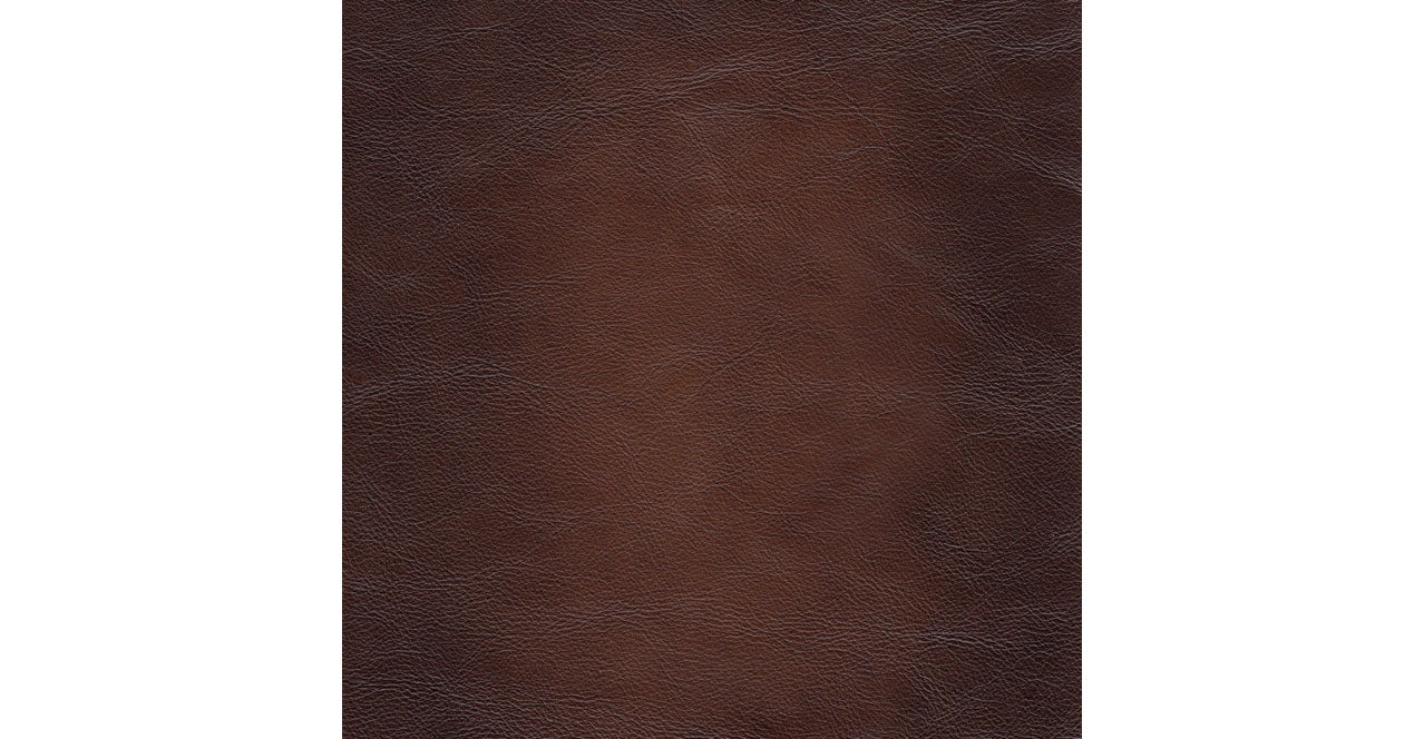 Alice Leather Sofa Collection